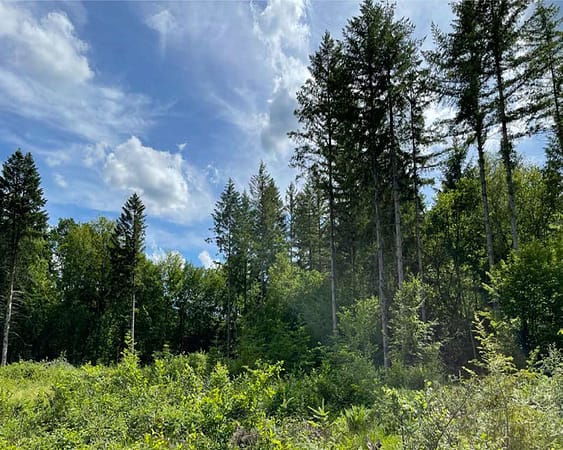 00-FicheProjet-Ounans-ReforestAction